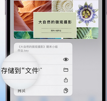 盐都apple维修中心分享iPhone文件应用中存储和找到下载文件