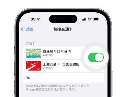 盐都apple维修点分享iPhone上更换Apple Pay快捷交通卡手绘卡面 