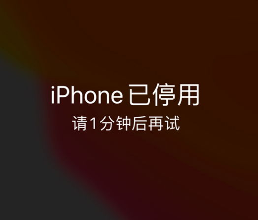 盐都苹果手机维修分享:iPhone 显示“不可用”或“已停用”怎么办？还能保留数据吗？ 