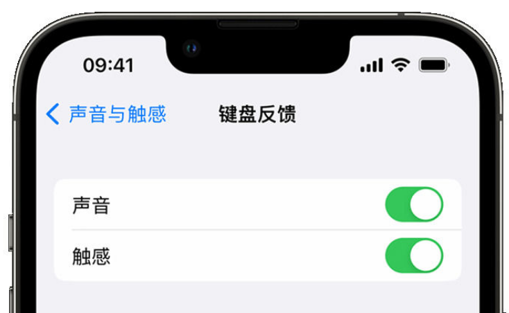 盐都苹果手机维修分享iPhone 14触感键盘使用方法 