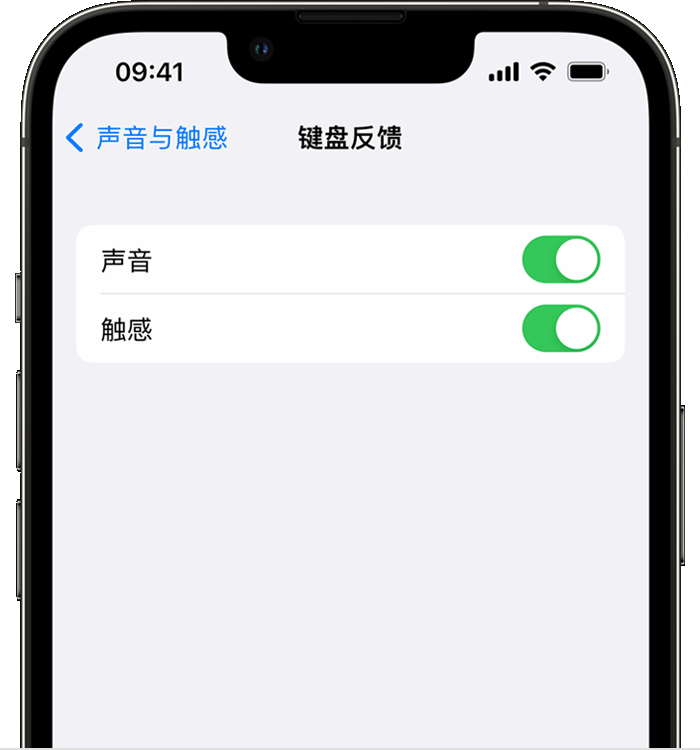 盐都苹果14维修店分享如何在 iPhone 14 机型中使用触感键盘 