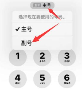 盐都苹果14维修店分享iPhone 14 Pro Max使用副卡打电话的方法 