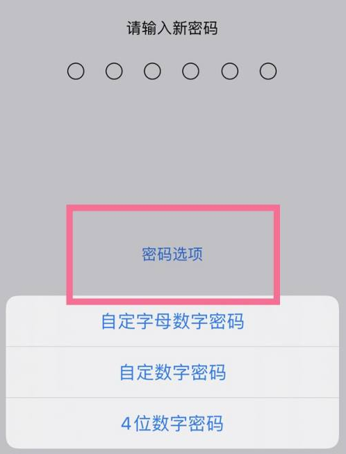 盐都苹果14维修分享iPhone 14plus设置密码的方法 