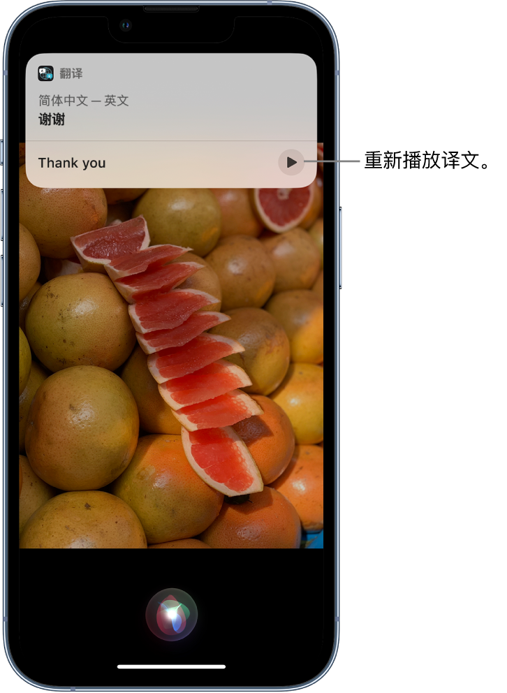 盐都苹果14维修分享 iPhone 14 机型中使用 Siri：了解 Siri 能帮你做什么 