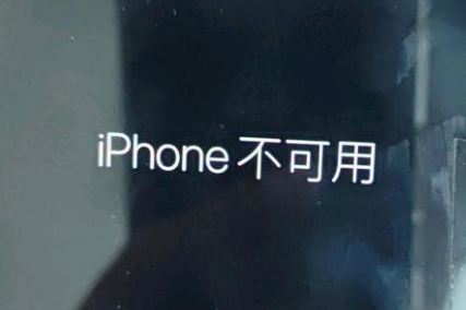 盐都苹果服务网点分享锁屏界面显示“iPhone 不可用”如何解决 