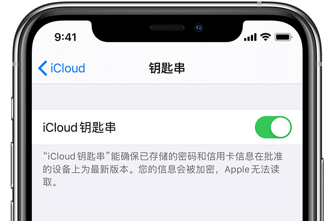 盐都苹果手机维修分享在 iPhone 上开启 iCloud 钥匙串之后会储存哪些信息 