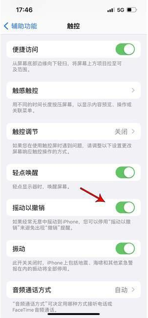 盐都苹果手机维修分享iPhone手机如何设置摇一摇删除文字 