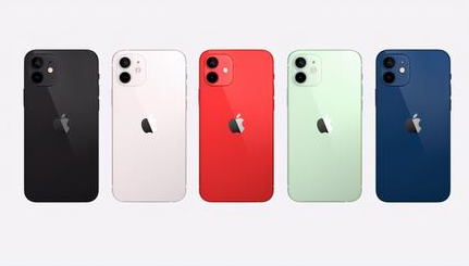 盐都苹果维修点分享iPhone 12黑屏隐蔽故障解读 