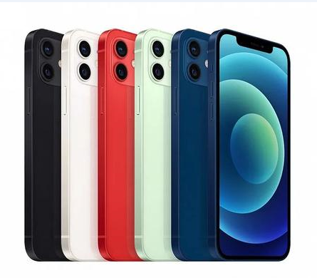 盐都苹果维修点分享iPhone 12 Pro Max黑屏冷门故障解读 